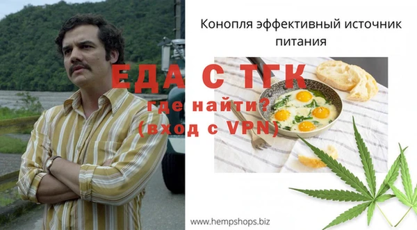 экстази Гусев