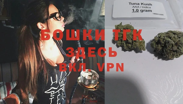 экстази Гусев