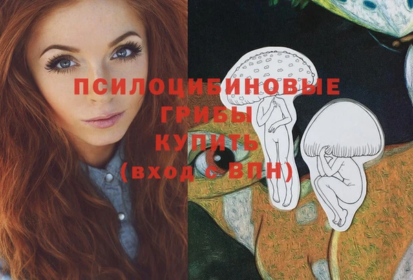экстази Гусев