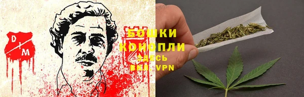 экстази Гусев