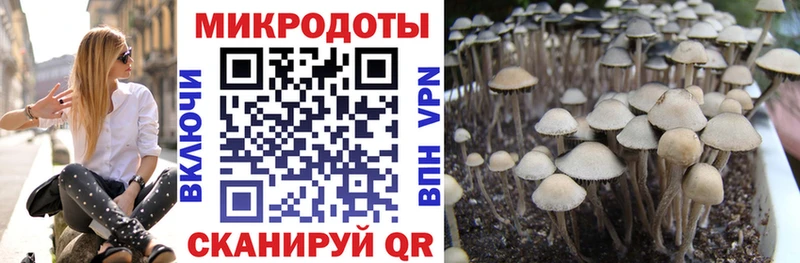 Псилоцибиновые грибы мухоморы Новомосковск